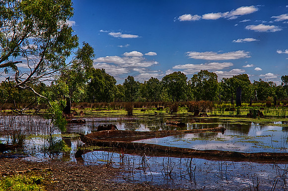 2015-11-27-101169_HDR