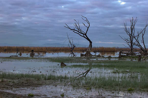 2013_08_01_00045622_3_4_tonemapped