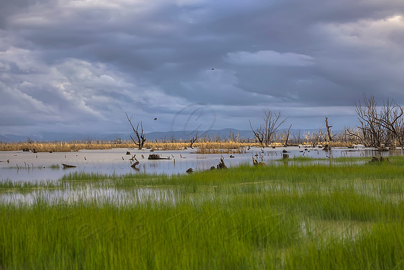 2013_08_30_00053977_78_79_80_81_tonemapped