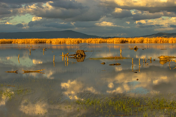2013_07_29_00045146_7_8_tonemapped