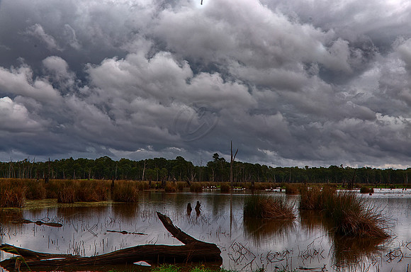 2016_01_27_00001420_HDR