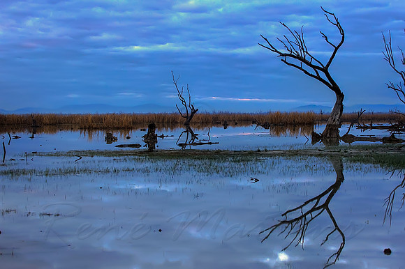 2013_08_01_00045601_2_3_tonemapped