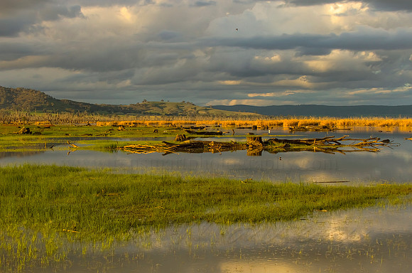 2013_07_29_00045163_4_5_tonemapped