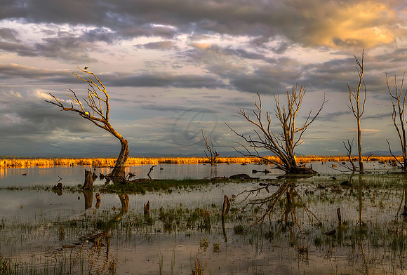 2013_08_26_00053789_90_91_92_93_tonemapped