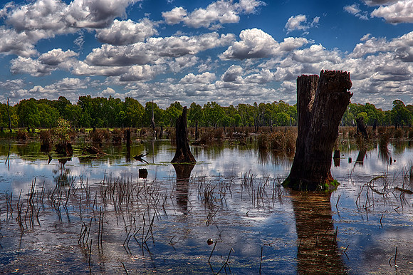 2015-11-16-100393_HDR