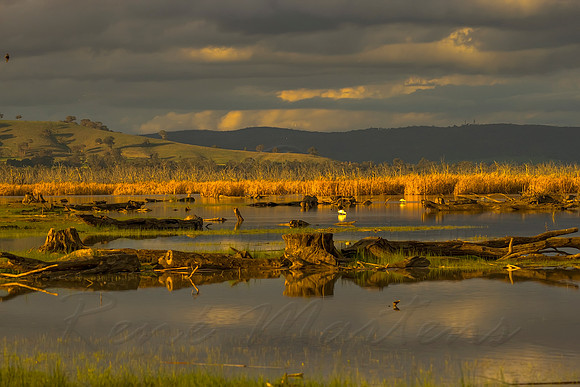 2013_07_29_00045160_1_2_tonemapped