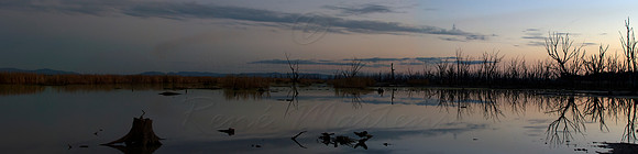 Winton Wetlands - Pano