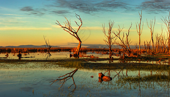 Winton Wetlands Sunrise 20130731