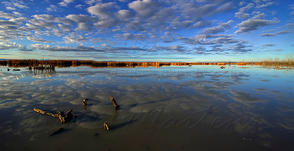 Winton Wetlands - After Sunrise