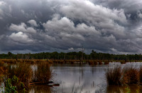 2016_01_27_00001427_HDR