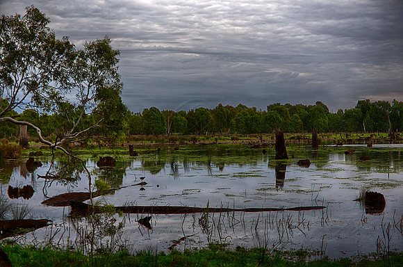 2015-11-10-099993_HDR