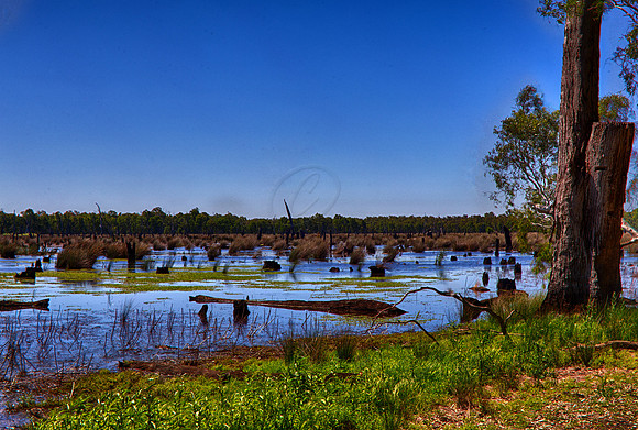 2015-11-23-100943_HDR