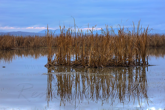 2013_08_01_00045598_599_600_tonemapped