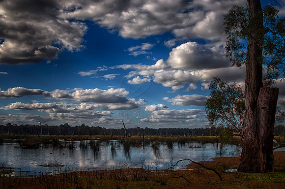 2016_10_31_00038796_HDR