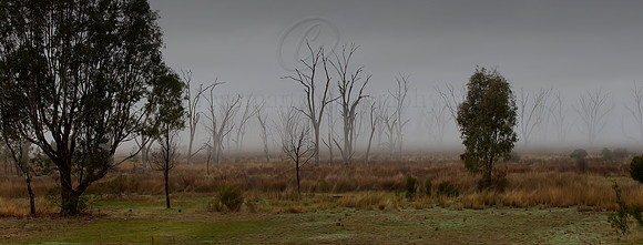 Winton Wetlands