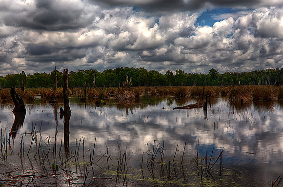 2015-11-06-099394_HDR