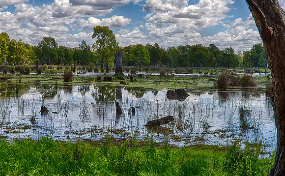 2015-11-16-100359_HDR