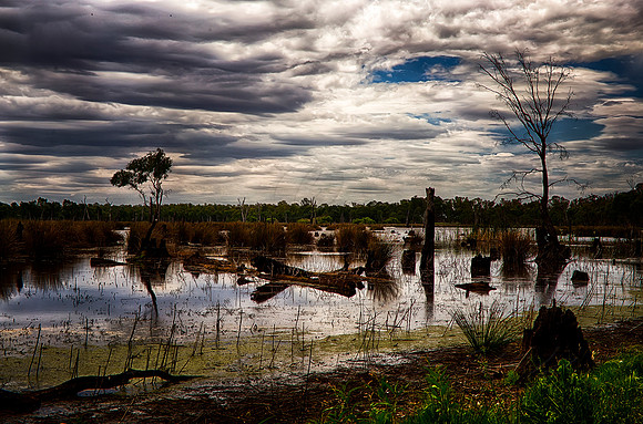 2015-11-30-101502_HDR