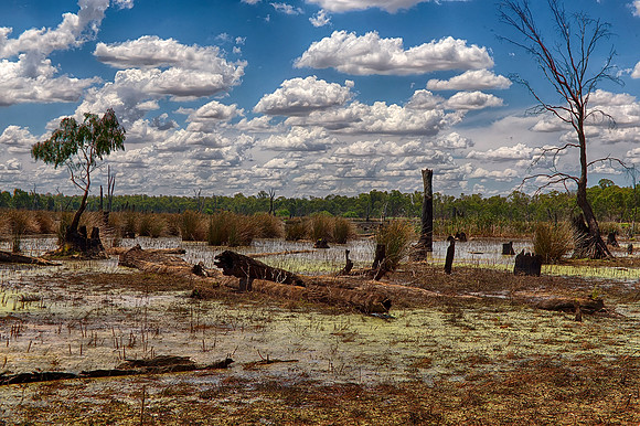 2015-12-23-102785_HDR