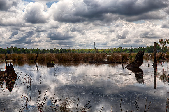 2015-11-06-099422_HDR