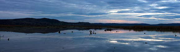 Winton Wetlands - Sunrise 2