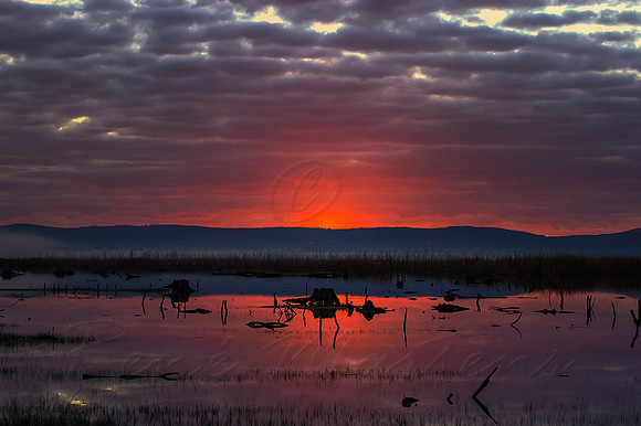 2013_08_01_00045589_90_91_tonemapped