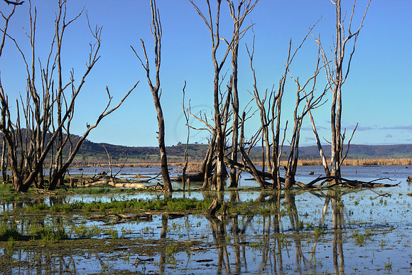 2013_08_08_00046379_80_81_tonemapped