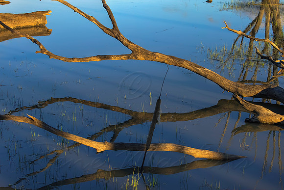 2013_07_31_00045540_1_2_tonemapped