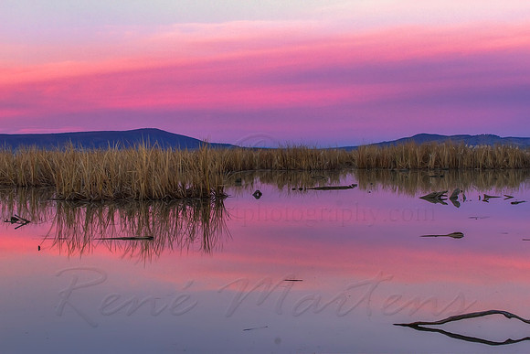 2013_06_23_00040403_4_5_tonemapped