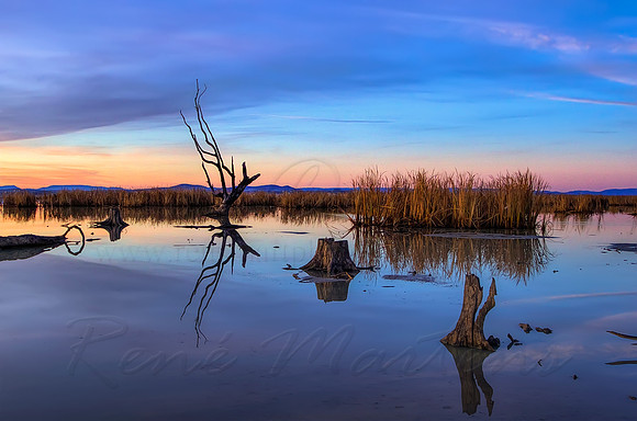 2013_06_21_00038457_8_9_tonemapped