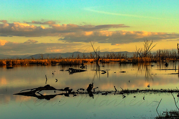 2013_08_01_00045700_1_2_tonemapped