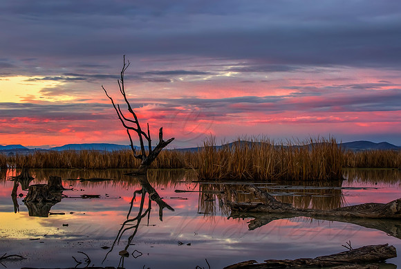2013_06_18_00038275_6_7_tonemapped