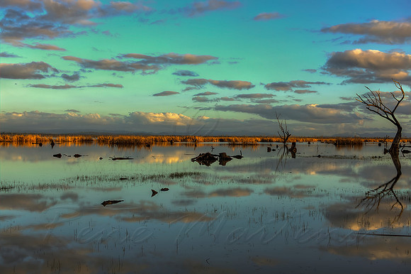 2013_08_15_00048620_1_2_3_4_tonemapped