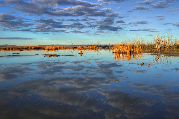 2013_07_12_00042735_6_7_tonemapped