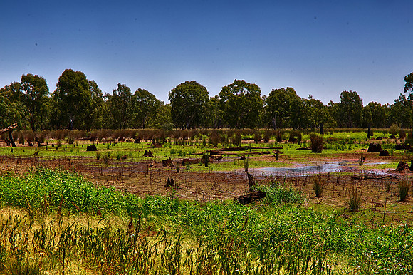 2015-12-18-102422_HDR