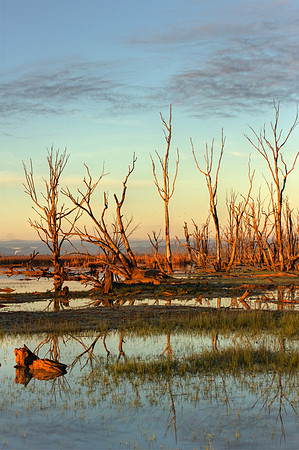 2013_07_31_00045485_6_7_tonemapped