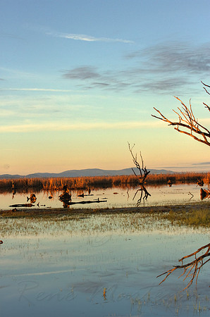 2013_07_31_00045488_89_90_tonemapped