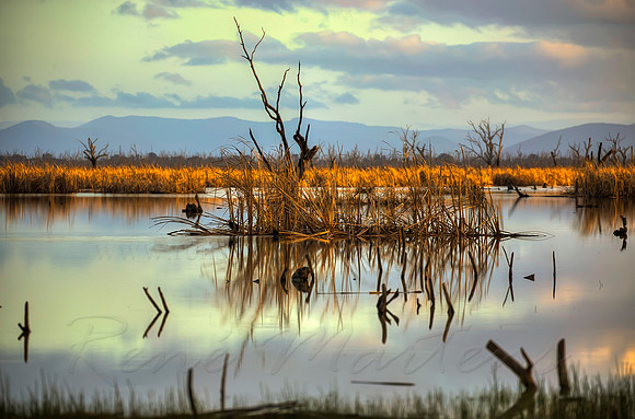 2013_08_15_00048655_6_7_8_9_tonemapped