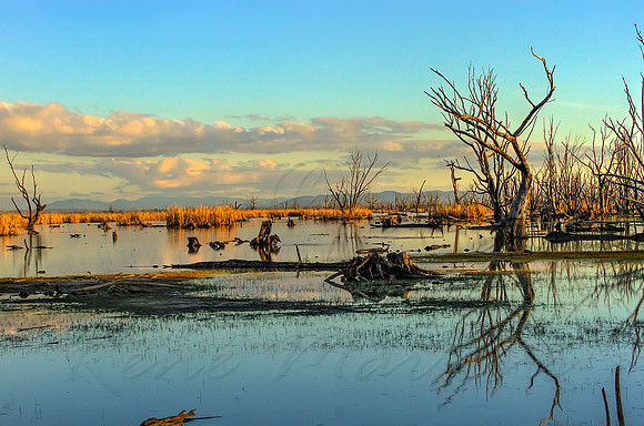 2013_08_01_00045663_4_5_tonemapped