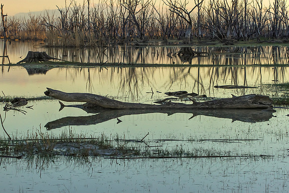 2013_08_01_00045706_7_8_tonemapped