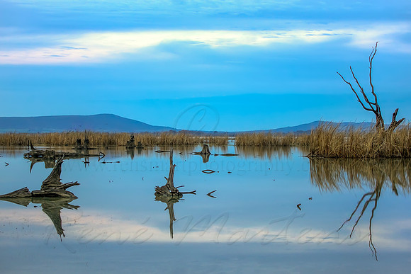 2013_07_27_00045084_5_6_tonemapped