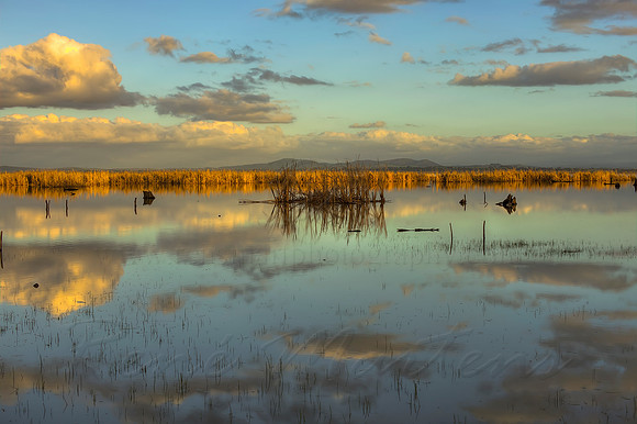 2013_08_15_00048615_6_7_8_9_tonemapped