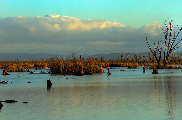 2013_08_06_00045941_2_3_tonemapped