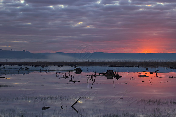 2013_08_01_00045595_6_7_tonemapped