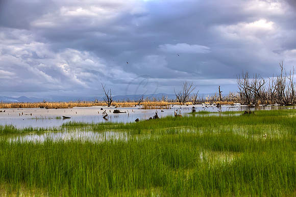 2013_08_30_00053982_3_4_5_6_tonemapped