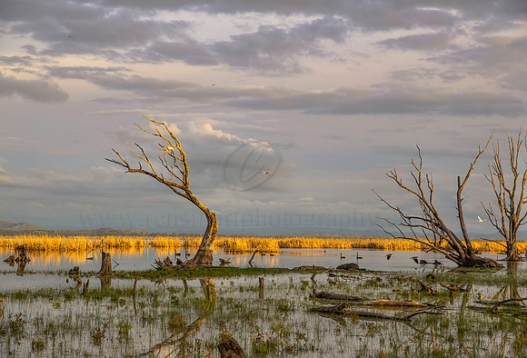 2013_08_26_00053774_5_6_7_8_tonemapped