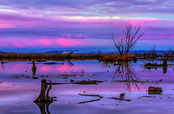 2013_06_18_00038299_300_301_tonemapped