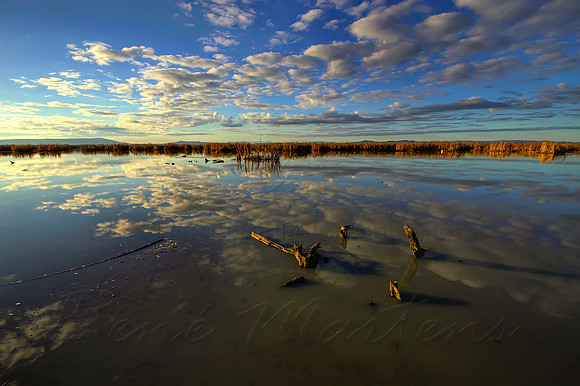 2013_07_12_00042753_4_5_tonemapped