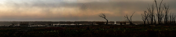 Untitled_Panorama1