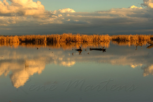2013_07_29_00045249_50_51_tonemapped
